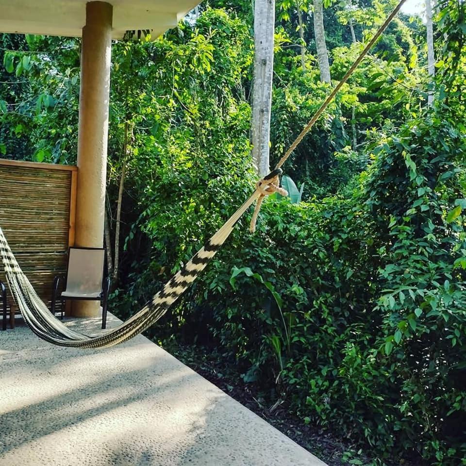 Canto De La Selva Jungle Lodge Selva Lacandona Chiapas Galaxia エクステリア 写真